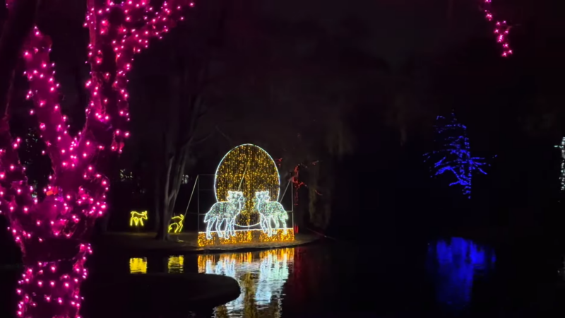 The Winter Festival of Lights - Niagara Falls